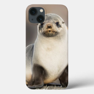 Portret van zeehondje op het strand Case-Mate iPhone case