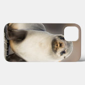 Portret van zeehondje op het strand Case-Mate iPhone case (Achterkant (horizontaal))