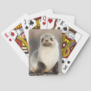 Portret van zeehondje op het strand pokerkaarten