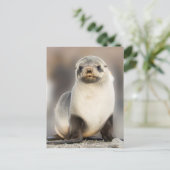Portret van zeehondjong op het strand briefkaart (Staand voorkant)