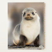 Portret van zeehondjong op het strand planner (Achterkant)