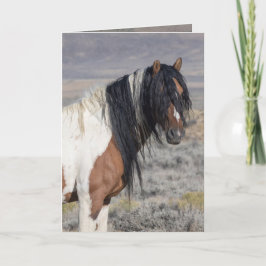Portret van Zephyr Wilde Paard Wenskaart