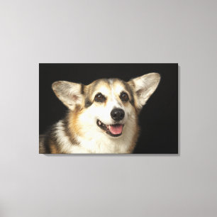 Portret van zwarte, bruine en witte Corgi Canvas Afdruk