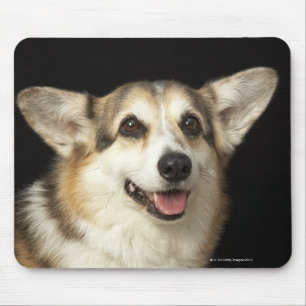 Portret van zwarte, bruine en witte Corgi Muismat