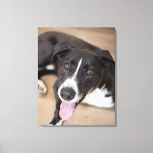 portret van zwarte hond canvas afdruk