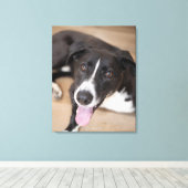 portret van zwarte hond canvas afdruk (Insitu (Houten vloer))