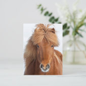 Portret voor bruin IJslandse paarden Briefkaart (Staand voorkant)