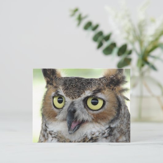 Portret voor grote paarden briefkaart (Staand voorkant)