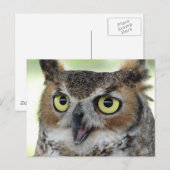 Portret voor grote paarden briefkaart (Voorkant / Achterkant)