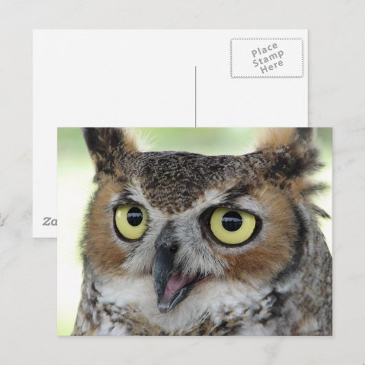 Portret voor grote paarden briefkaart (Voorkant / Achterkant)