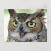 Portret voor grote paarden briefkaart (Voorkant)