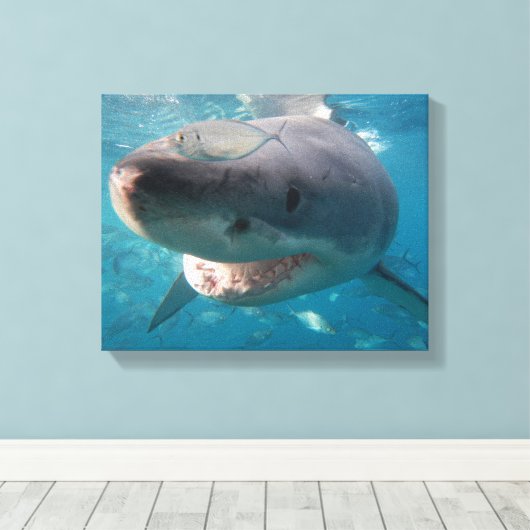 Portret voor het sluiten van grote witte haaien canvas afdruk (Insitu (Houten vloer))