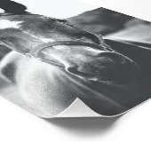 Portret voor zwart-wit paard afdrukken foto afdruk (Hoek)