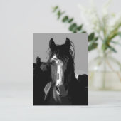 Portret voor zwarte en witte paarden briefkaart (Staand voorkant)
