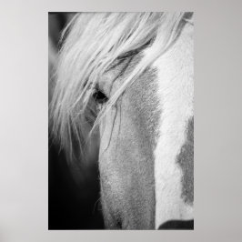 Portret voor zwarte en witte paarden poster