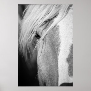 Portret voor zwarte en witte paarden poster