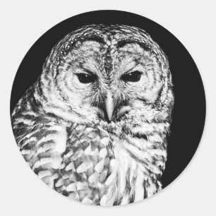 Portret voor zwarte en witte reuzel ronde sticker
