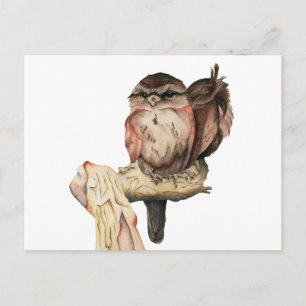 Portret Waterverf Owl Siblings Briefkaart