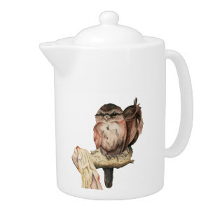 Portret Waterverf Owl Siblings Theepot