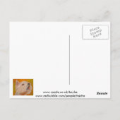 Portret West Highland White Terrier Briefkaart (Achterkant)