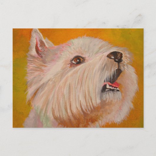 Portret West Highland White Terrier Briefkaart (Voorkant)