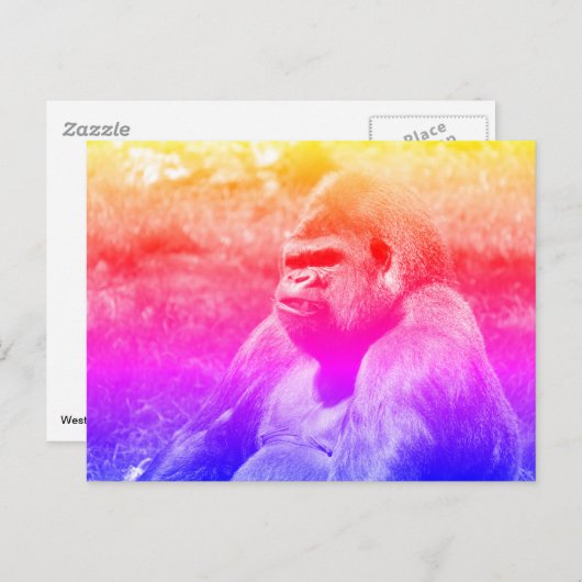 Portret westerne laaglandgorilla briefkaart (Voorkant / Achterkant)