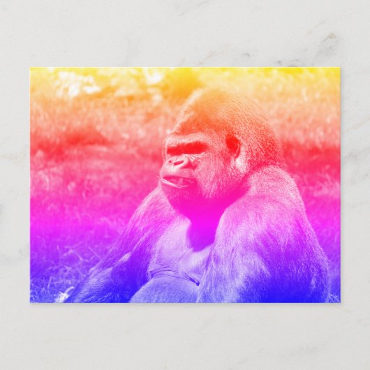Portret westerne laaglandgorilla briefkaart (Voorkant)