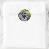 Portret westerne laaglandgorilla ronde sticker (Tas)