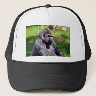 Portret westerne laaglandgorilla trucker pet