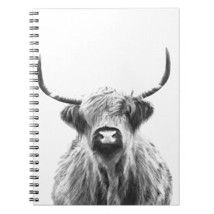 Portret zwarte en witte hoogland Cow Notitieboek