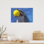 Portretdolfijn met een bal in de mond poster (Keuken)