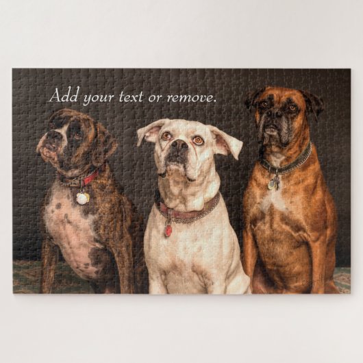 Portretfoto van 3 schattige boxerhonden. legpuzzel (Horizontaal)