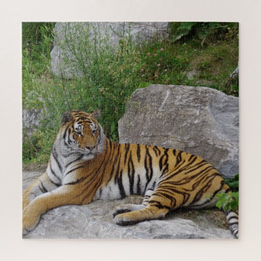 Portretfoto van een Siberische tijger Legpuzzel (Verticaal)