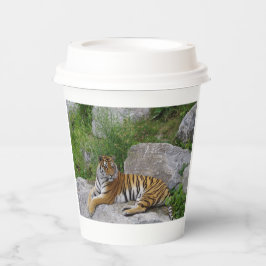 Portretfoto van een Siberische tijger Papieren Bekers