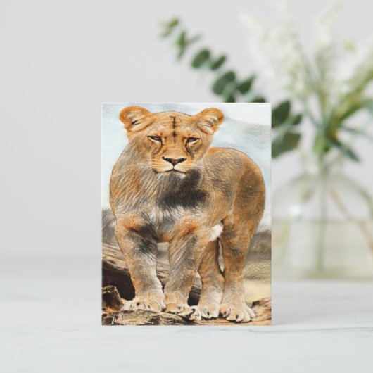 Portretleeuw Briefkaart (Staand voorkant)