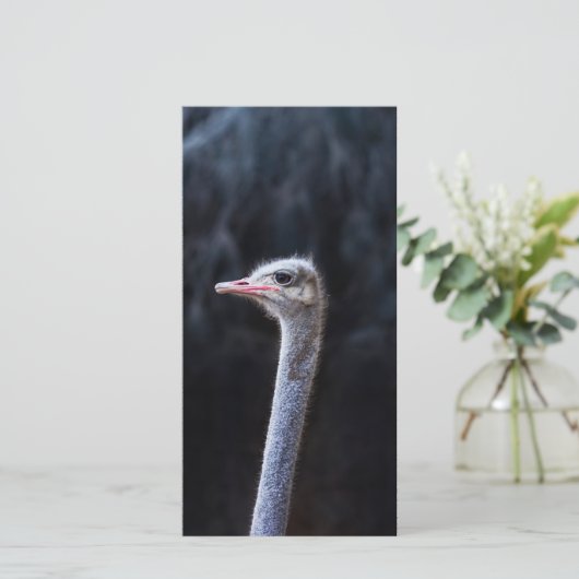 Portretostrip (Staand voorkant)