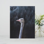 Portretostrip (Staand voorkant)