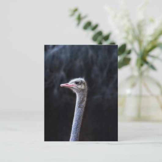 Portretostrip Briefkaart (Staand voorkant)