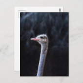 Portretostrip Briefkaart (Voorkant / Achterkant)