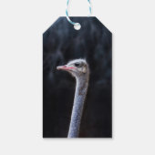 Portretostrip Cadeaulabel (Achterkant)