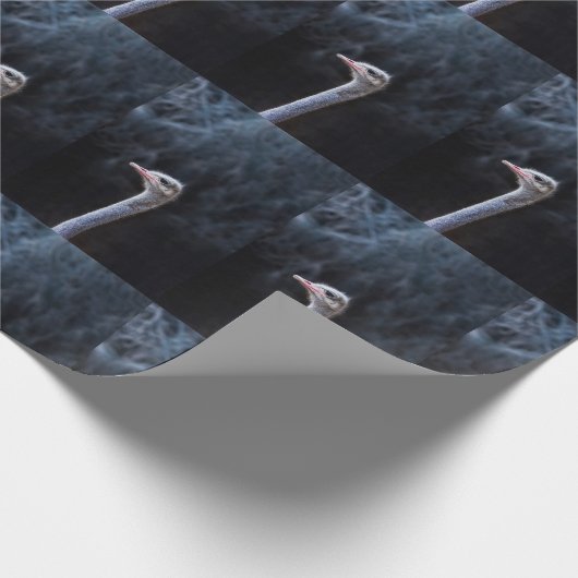 Portretostrip Cadeaupapier (Hoek)