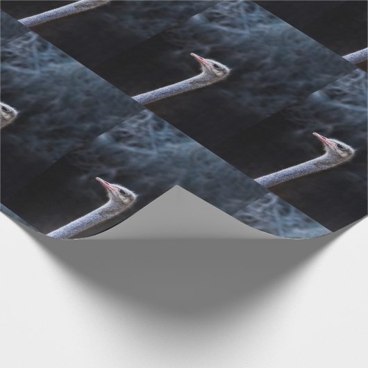 Portretostrip Cadeaupapier (Hoek)