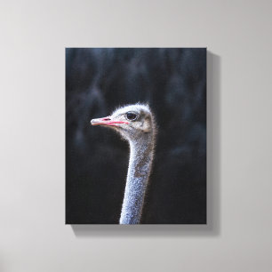 Portretostrip Canvas Afdruk