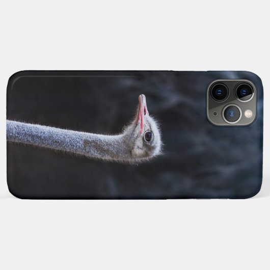 Portretostrip Case-Mate iPhone Case (Achterkant (horizontaal))