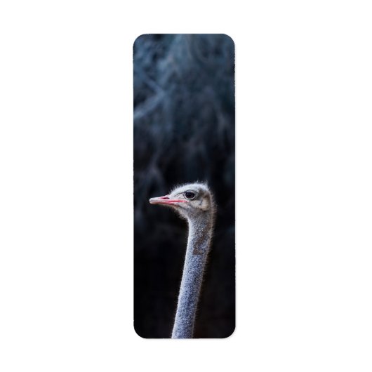 Portretostrip Etiket (Voorkant)