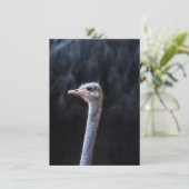 Portretostrip Feestdagenkaart (Staand voorkant)