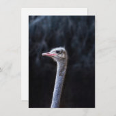 Portretostrip Feestdagenkaart (Voorkant / Achterkant)