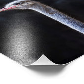 Portretostrip Foto Afdruk (Hoek)