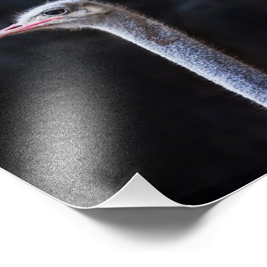 Portretostrip Foto Afdruk (Hoek)