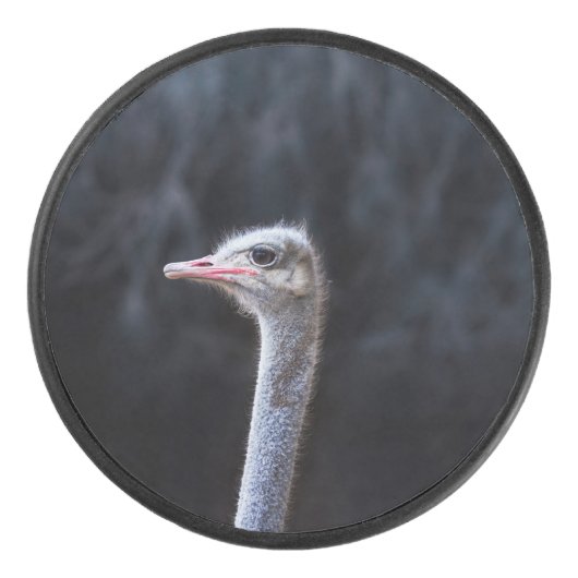 Portretostrip Hockey Puck (Voorkant)